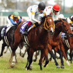 中京競馬場の謎?高速すぎる時計!レコード続出の謎に迫る!高松宮記念もレコード!