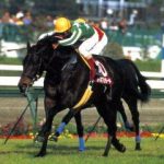 タイキで名前がかっこいいと思う馬