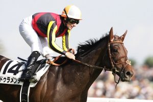 オルフェやドゥラメンテの事一般人は知ってるの？