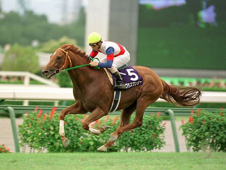 ●グラスワンダー１ 夢色の蹄跡