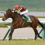 アルアイン種牡馬大成功
