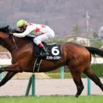 ミッキースワロー強すぎ