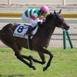 なぜG1を勝てなかったのか不思議な馬っている?