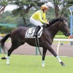 タニノフランケル強過ぎわロタｗｗｗ