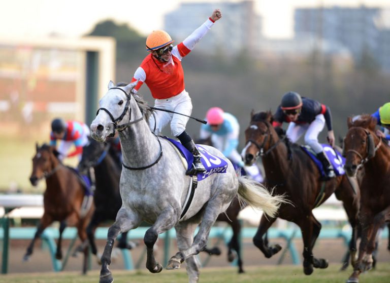 日本競馬史上「最強馬」が生まれそうな配合は？