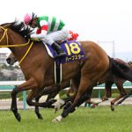 ハープスターの思い出