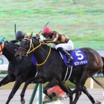 すっげー強いのに名前で損してる馬