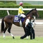 歴史的な名馬なのに変なローテの奴