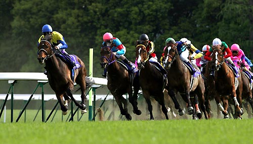 競馬って不思議なんだけど