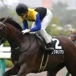 ワグネリアンって歴代の馬で例えるとどのレベルのになると思う？