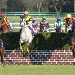 有馬記念より中山大障害が楽しみな奴www
