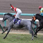 ぽまいらにとっての今年のベストレースを書いて去れ