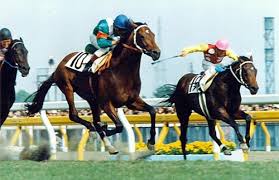 シンザン Vs シンボリルドルフ