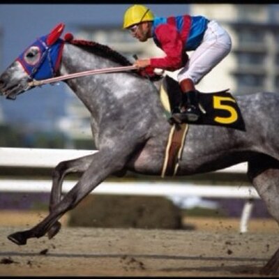 三大 急に強くなった馬 タマモクロス モーリス あと一頭は