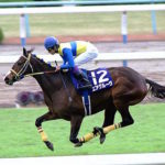 なぜG1を2勝だけのエアグルーヴの血統がブランド化してるのか