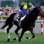 もうキングカメハメハ系に良血牝馬交配すべきじゃない。強い産駒出てこないから
