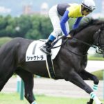 実は早くから実力を見抜いていた晩成馬
