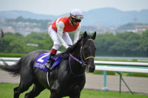 史上最も運がなかった馬