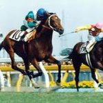 シンザン VS シンボリルドルフ