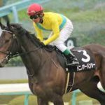 競馬で割と最近まで誤解してた事