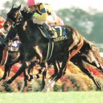 ダンスインザダークよりカッコいい馬名ってある?