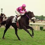 94世代はナリタブライアン以外の馬も強かったと聞くけど