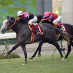 よく考えたら、ビワハヤヒデって強くね？