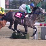 記憶に残っている斜行 降着