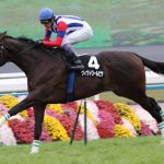 ヴィクトワールピサがブリーダーズ・スタリオン・ステーションに移動