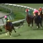 逃げ馬ってなんで種牡馬成功しないんだ?