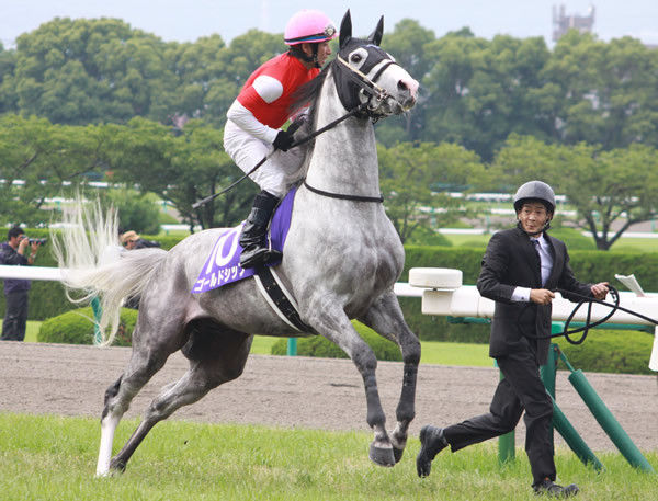 ゴルシ ジェンティル ジャスタウェイ以降強い馬がほぼ出てこない件について