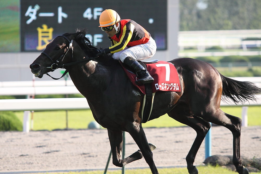 武豊 あれ 俺この馬でgi勝ったけ さてどの馬か