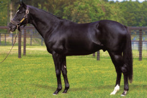 1970～80年代：どんなレースでもハイペース消耗戦 90年代～現在：ドスローヨーイドン