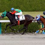 今後シゲルの馬名の題材になりそうな物