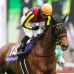 最強牝馬ランキングそろそろ決定しないか?