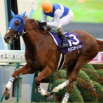 悲報、牝馬が代表産駒の種牡馬ばかりになってしまう