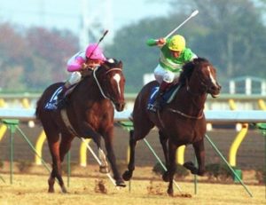 ここ数年のJCが深刻なまでに空き巣レースなのは何故?