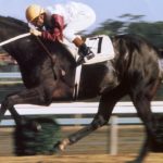 歴代最強の地方馬って何？