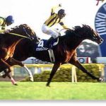 歴代、社台レースホースとサンデーレーシングで最もカッコいい馬名