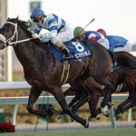 名は体を表している馬名