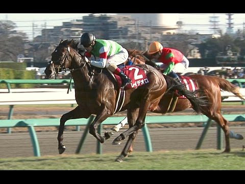 12月27日ホープフルステークス12月28日有馬記念