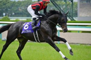 馬名と成績がリンクした馬
