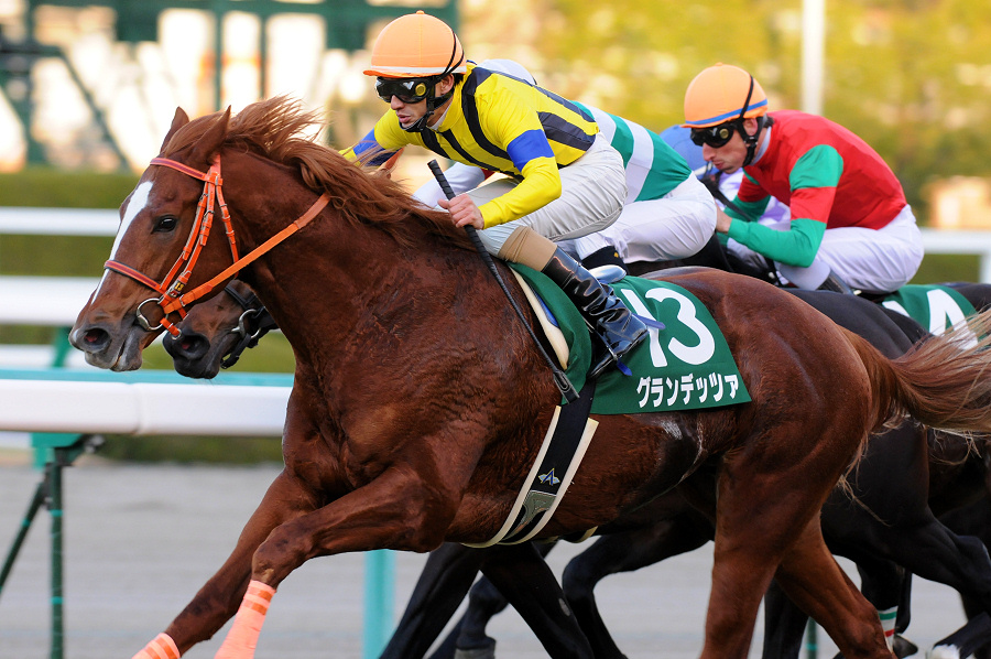 G4ときいて思い浮かんだレース