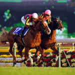 やっぱりジェンティルに普通に負けたオルフェってただ弱かったんだな