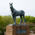 10戦以上走って無敗で引退みたいな完全無欠の戦績はなぜ難しいの?