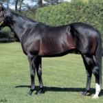 日本国において長距離血統がハーツくらいしか残存しない件