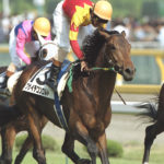 重賞勝ちがGIだけの馬挙げてけ