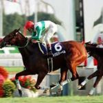 性別を間違いがちな馬