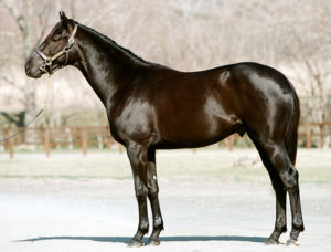 モガミの最高傑作って何よ？