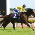 あのウオッカでさえ、宝塚・有馬の両方に出走経験がある件